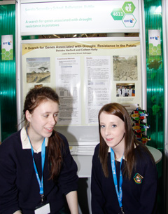 young scientists