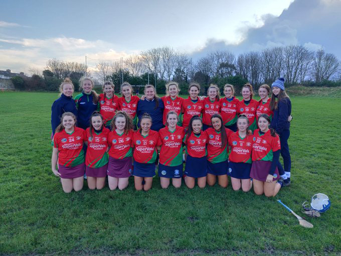 senior camogie