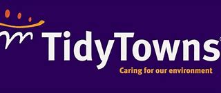 Transition Year and Tidy Towns