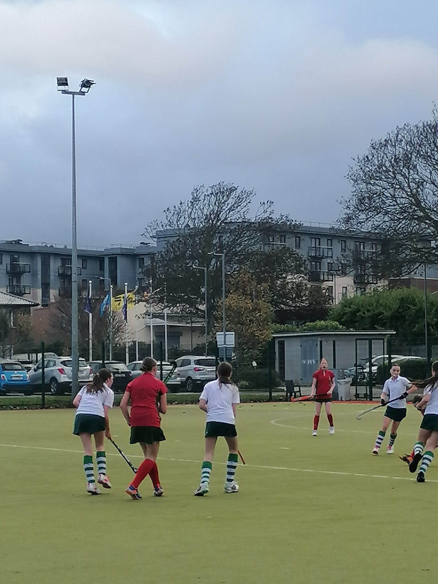 Minor Hockey League Loreto Secondary School