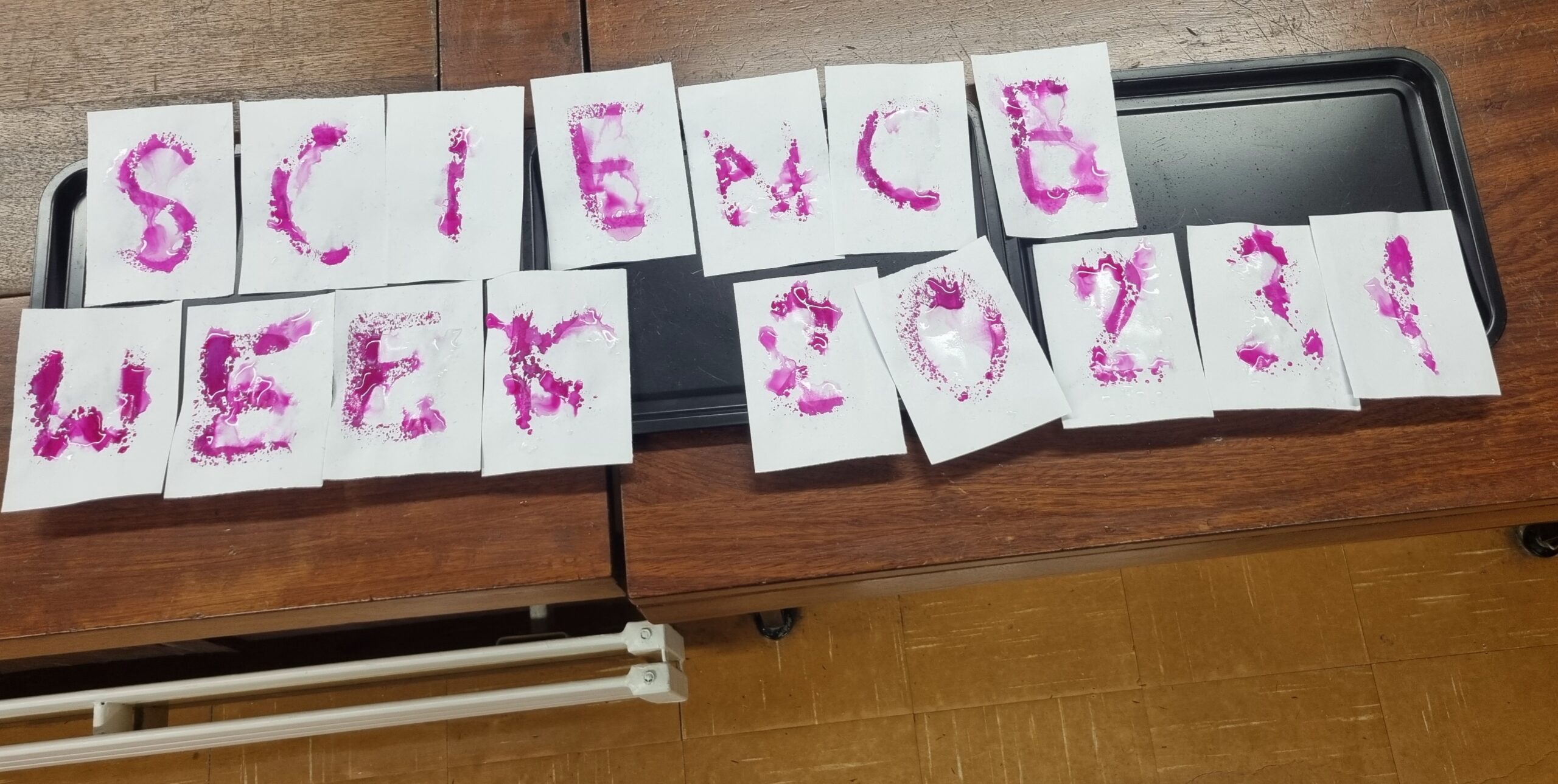 Science Week